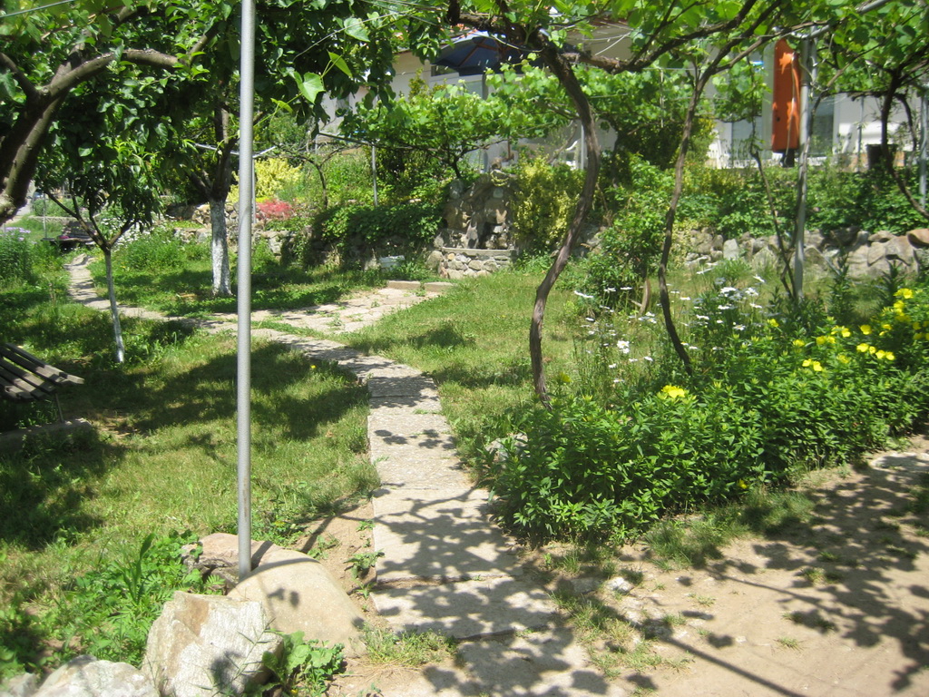 pastuh - 04.06_22.2011